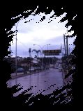Argentine009
