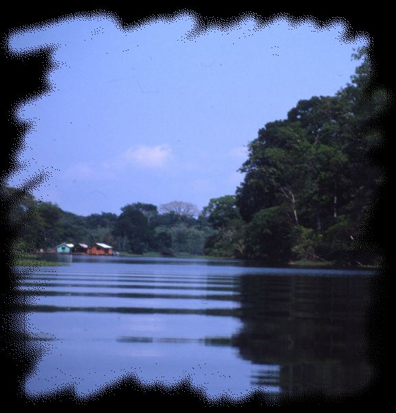 Brésil033