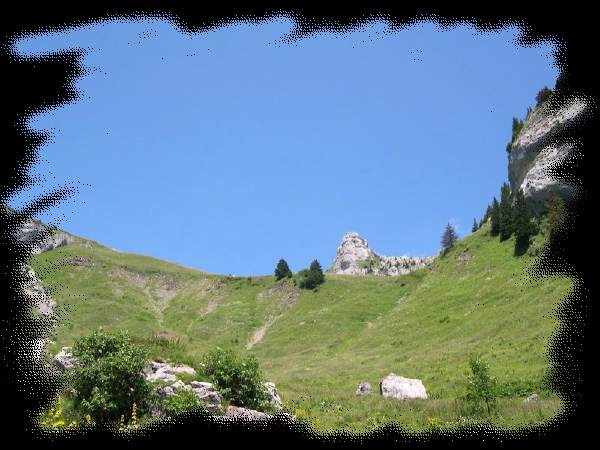 Leysin